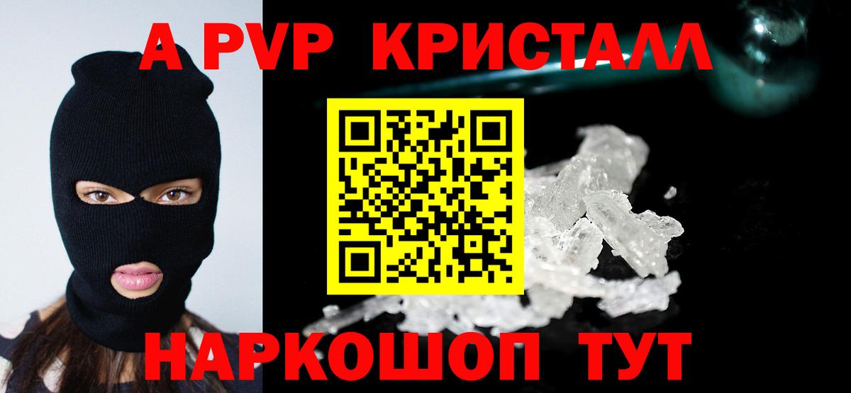 Alfa_PVP СК КРИС Сыктывкар