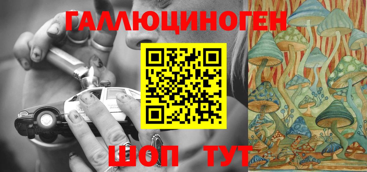 Сыктывкар  купить наркоту  Вход с VPN  Псилоцибиновые грибы Psilocybine cubensis 